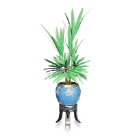 矮脚花几盆栽.png