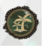 绿洲穿行.png