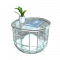 记录报告.png