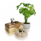 露营氛围套装.png