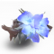 月鸢花.png