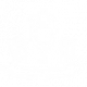 苔丝·绮幻【爆发技：幻影矩阵】.png