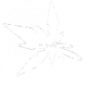 凯茜娅·狂诗【支援技：滞空碎星】.png