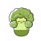 蓬蓬花菜.png