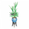 矮脚花几盆栽.png