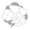 知更鸟•晴歌-星魂1.png