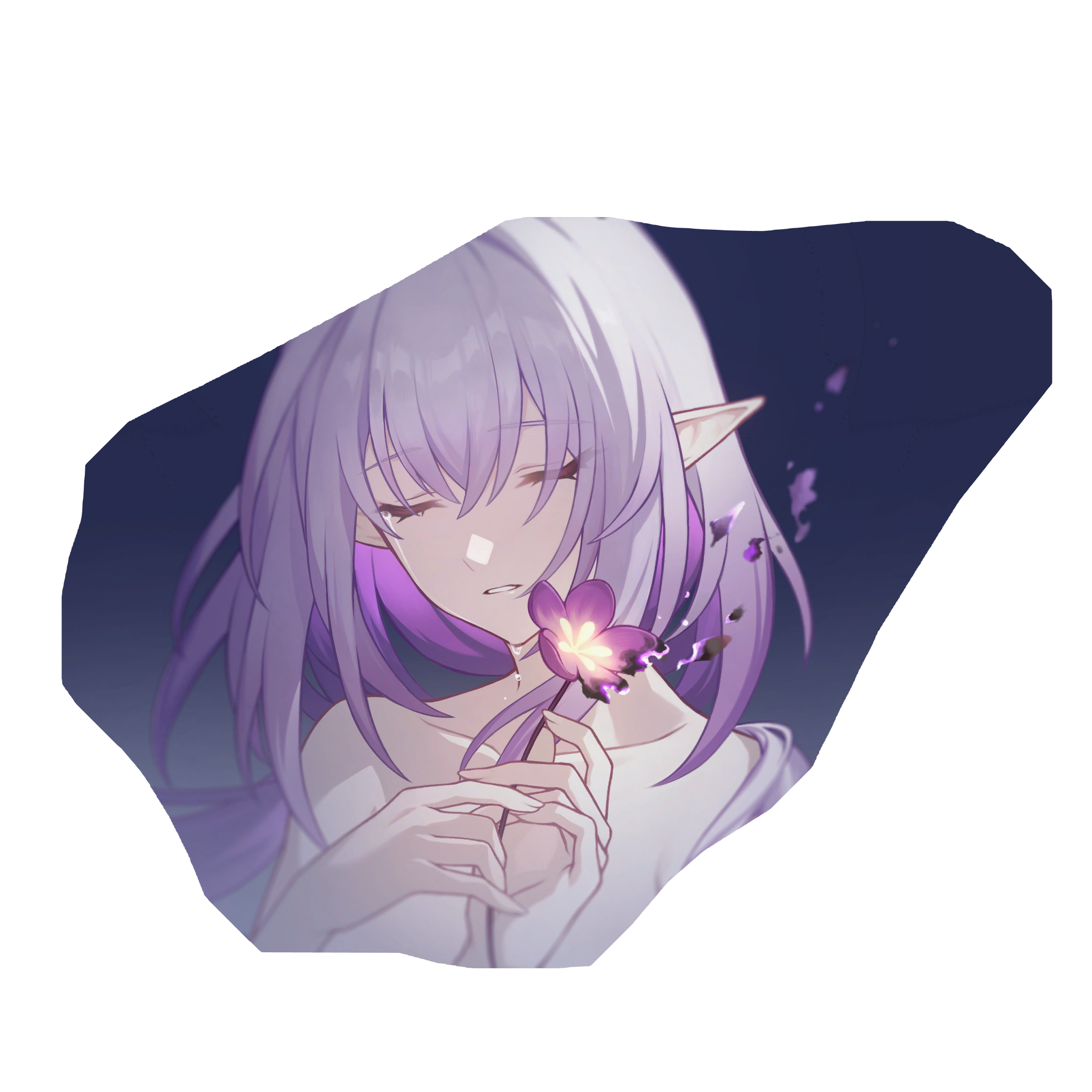 遐蝶-星魂6-大.png