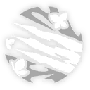 遐蝶-强化战技.png