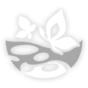 遐蝶-秘技.png