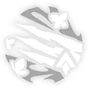 遐蝶-星魂2.png