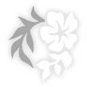 砂金•戏浪-星魂6.png