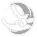 遐蝶-普攻.png