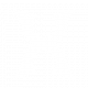 冷静的小鸟.png