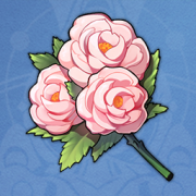 一束球牡丹.png