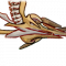 枯槁的筛骨.png