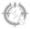 佩拉-星魂1.png
