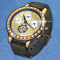 金灿灿的手表.png