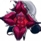 邪愿莲华.png