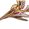 干涸的泪骨.png