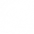 货币战争-投资环境-进化算法.png