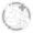 风堇-星魂4.png