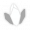 黑塔-星魂3.png