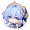 知更鸟•韶华