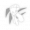 卢卡-星魂1.png