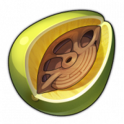 垂语果实.png