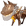 金血忆灵•犬形.png