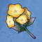 暖阳花.png