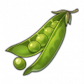 荚荚豆.png