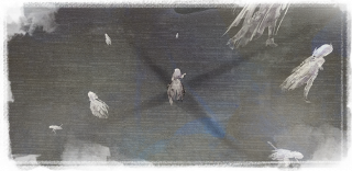 如我所书-死荫的侍女-蹁跹零落花间-4.png