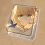 没有回报的加冕.png