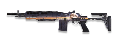 武器皮肤-MK14EBR-月面探索.png