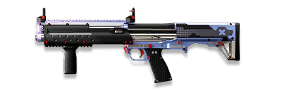 武器皮肤-BSG-14-核心力量.png