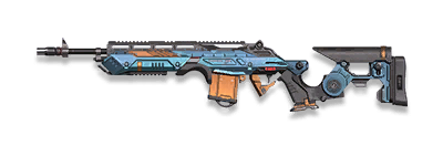 武器皮肤-MK14EBR-重生.png