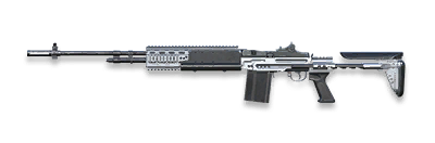 武器皮肤-MK14EBR-原型.png