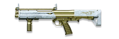 武器皮肤-BSG-14-黄金.png