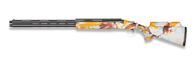 武器皮肤-DT22-辰龙.png