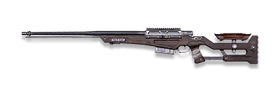 武器皮肤-AWM-久经战场.png