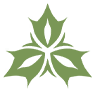 毒属性.png