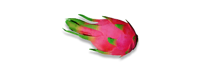 武器皮肤-燃烧弹-水果派对.png