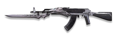 武器皮肤-AKM-荣耀.png