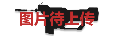 缺失图片-武器皮肤.png