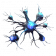 资源-耗材-B级样本突破丝.png