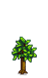 Nectarine Tree Phase 3.png