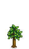 Nectarine Tree Phase 3.png