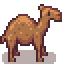 Camel.png