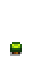Salal Shrub Phase 2.png